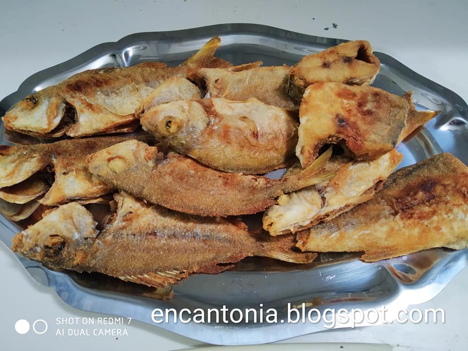 ENCANTONIA PESCADOS FRITOS DE LA BAHÍA DE CADÍZ ENCANTONIA PESCADOS FRITOS DE LA BAHÍA DE CADÍZ