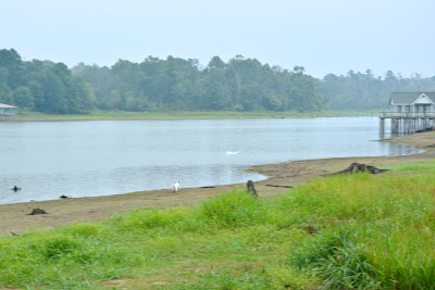 Lake Bob Sandlin, Drought 2013