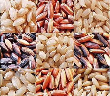 tabla nutricional del arroz