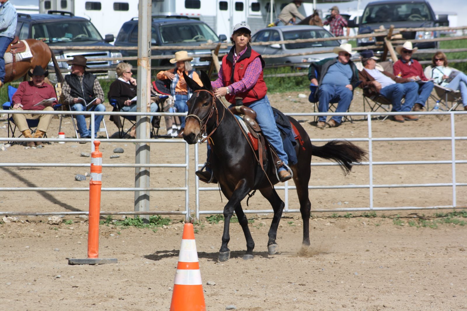 PairADice Mules More Trail Preview Pictures Jake Clark Mule Days