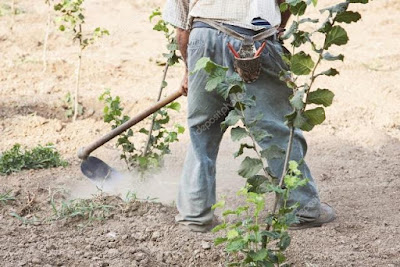 Todos Somos Uno: UN TROPIEZO: cuento