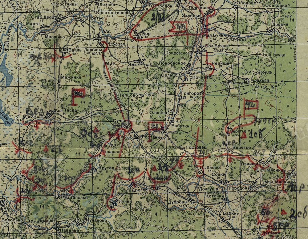 Кневицы новгородская область демянский район карта