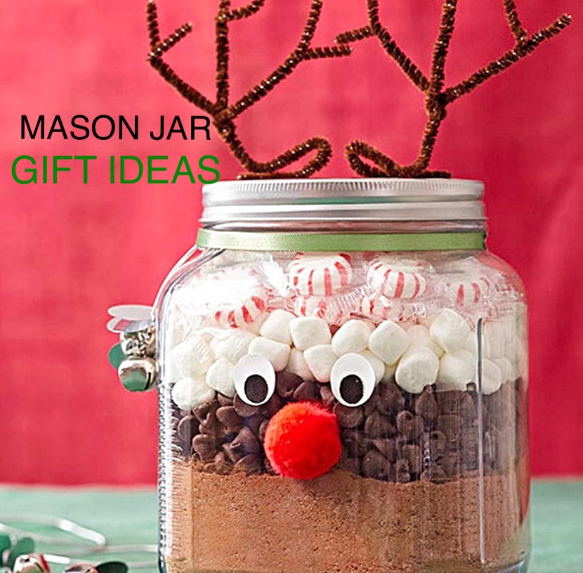 2020 Funny Holiday Neighbor Gift Idea - Crazy Little Projects