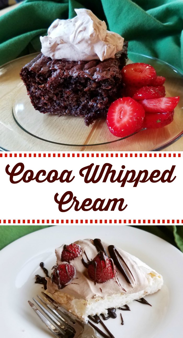 Cooking With Carlee Cocoa Whipped Cream