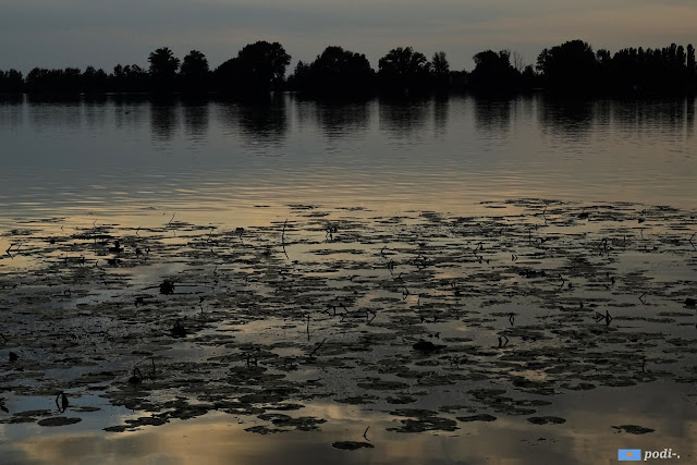 Fiume Mincio, lago Superiore, Mantova