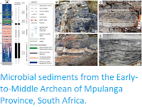 http://sciencythoughts.blogspot.co.uk/2015/06/microbial-sediments-from-early-to.html