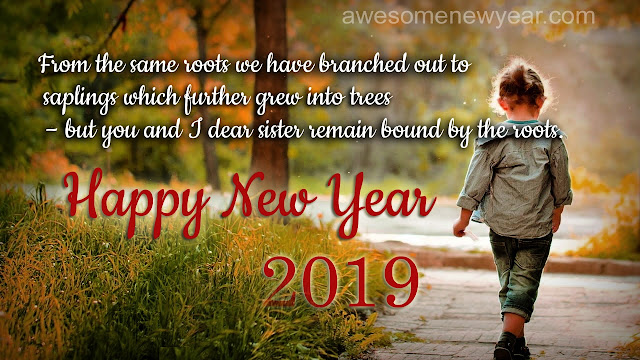 Happy New Year 2019 Quotes For Sister Latest New Year Wishes