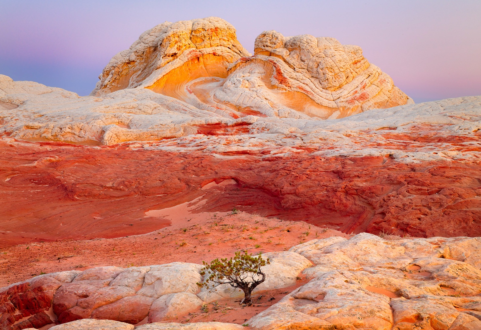 Socotra-Island.jpg
