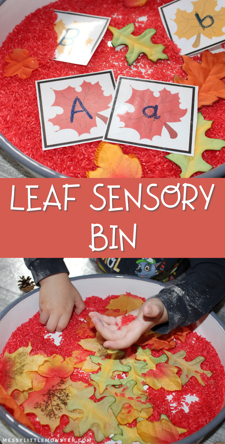 Fall leaf sensory bin for toddlers and preschoolers. Leaf alphabet tracing cards and fall sensory bin printables.