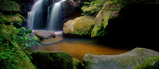 An image of waterfall at Dismals Canyon, Phil Campbell, AL