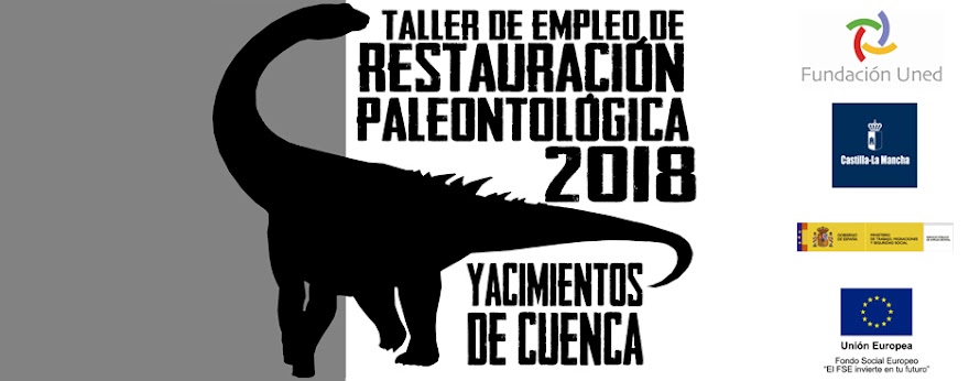 Taller de Restauración Paleontológica 2018