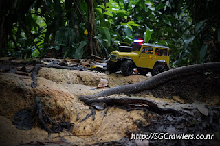 [PHOTOS] 20160424 - Rifle Range Road - Durian Loop Trail Photos DSC02802