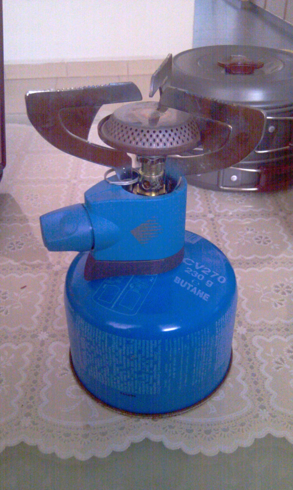 The Unexpected Blogger&hellip; My First ProjectEdelrid