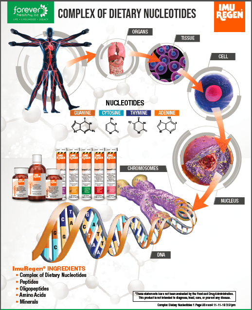 DNA Repair for Health Europe’s Best Kept Secret ImuRegen Dietary