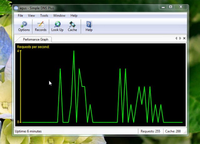 simple dns plus crack simple dns plus crack