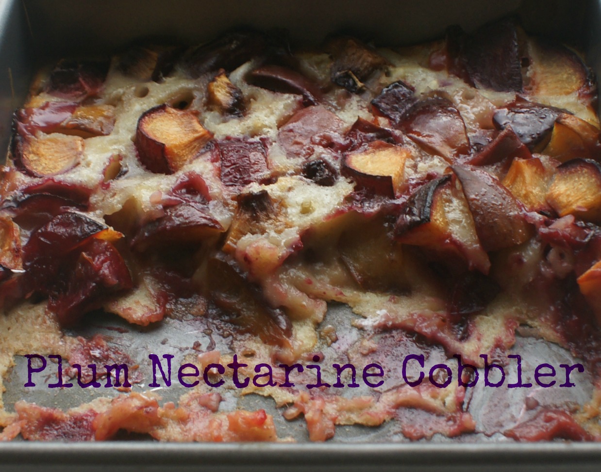 The Fat Free Queen Plum Nectarine Cobbler