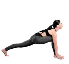 অশ্ব সঞ্চালনাসন (The Equestrian Pose) অশ্ব সঞ্চালনাসন (The Equestrian Pose)