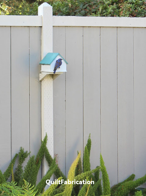bluebird outside a birdhouse