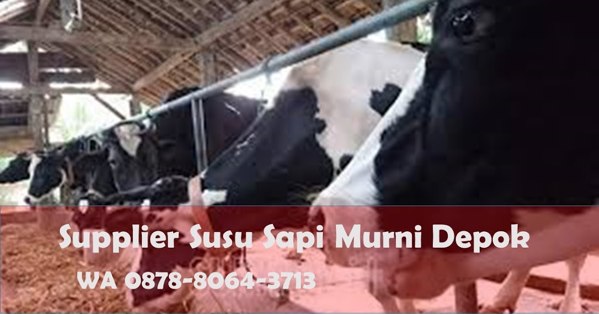 Wa 0878 8064 3713 Supplier Susu Sapi Murni Depok Wa 0878 8064 3713 Distributor Susu Murni Di Depok