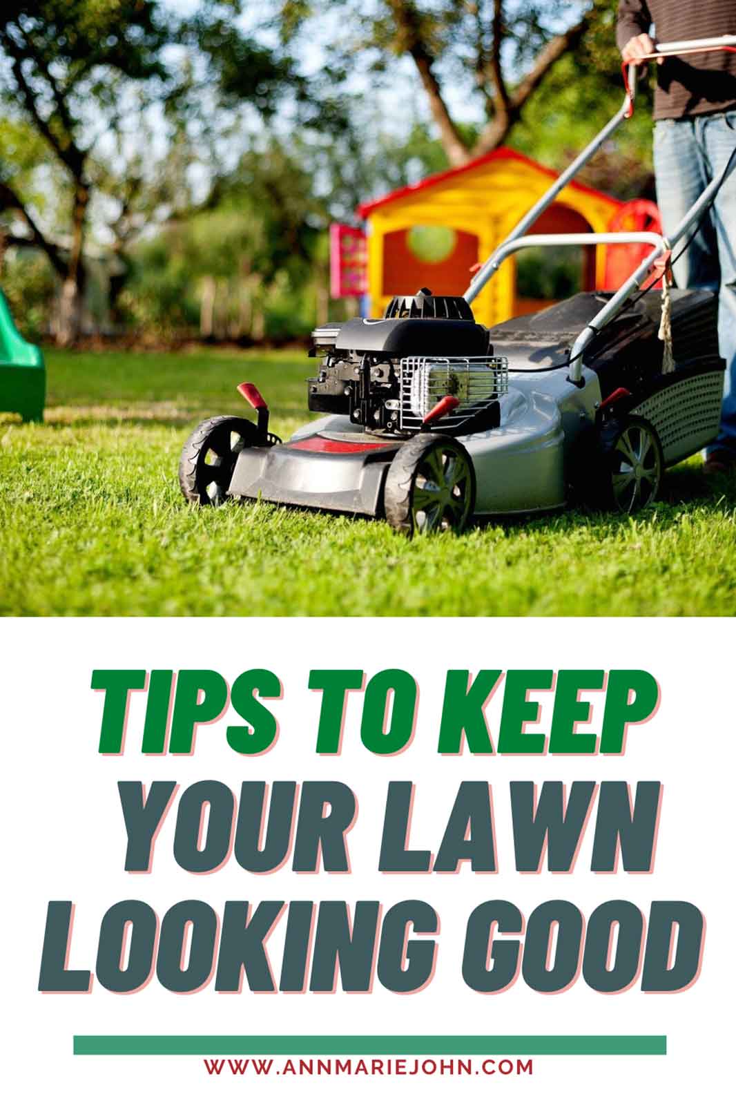 Tips to Keep Your Lawn Looking Good