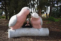 Canberra BIG Things | BIG Kissing Galahs