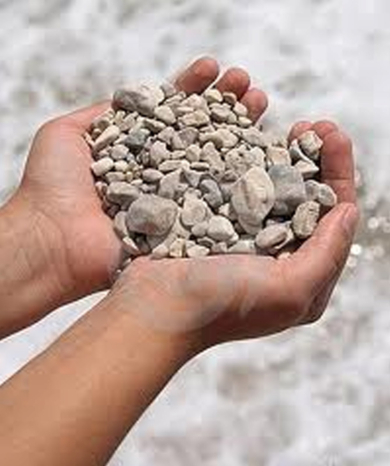 12Tribes: When you need help after your heart has been stoned ...