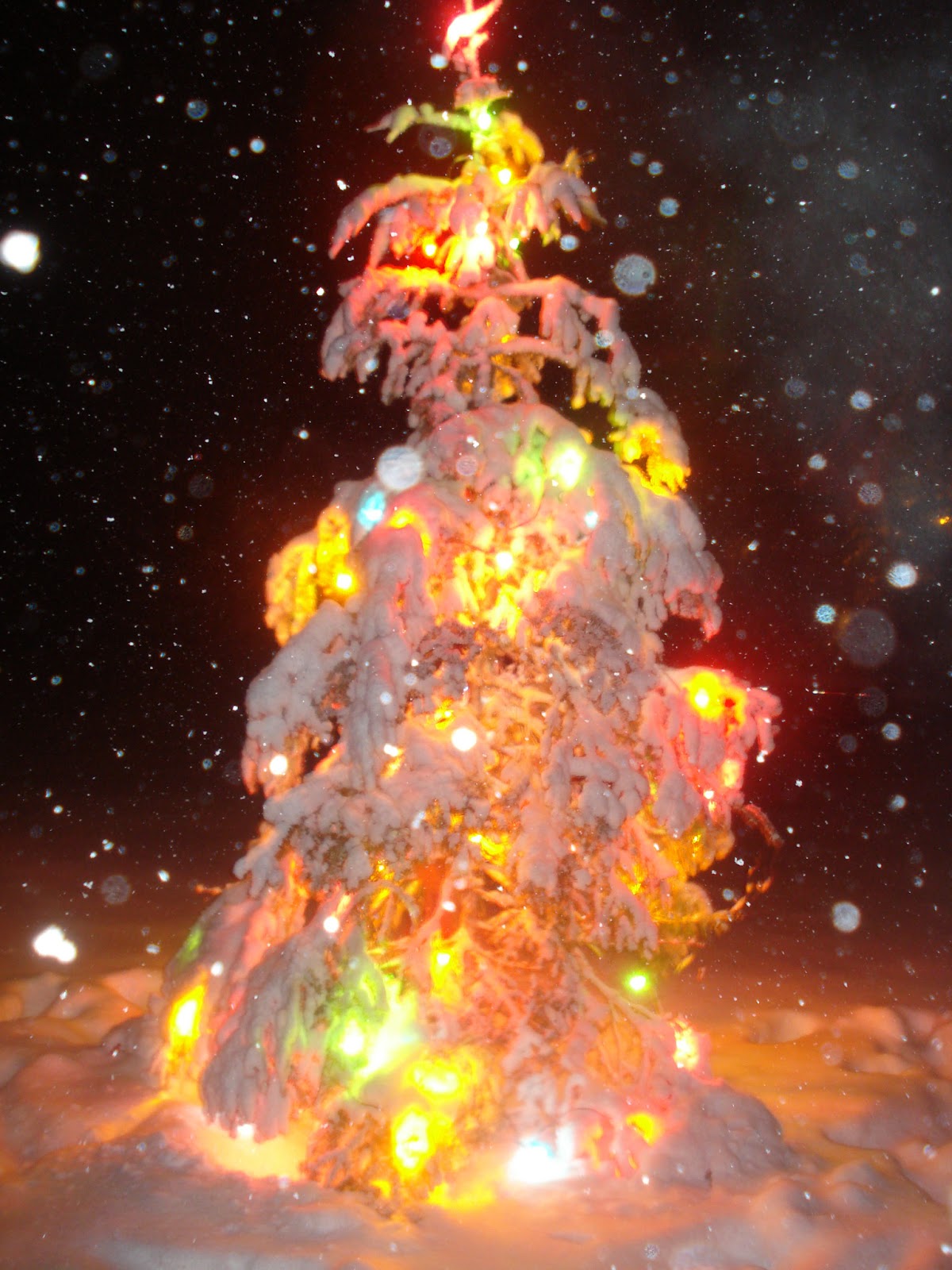 Shadow Lane Farm My Yule/Christmas Tree