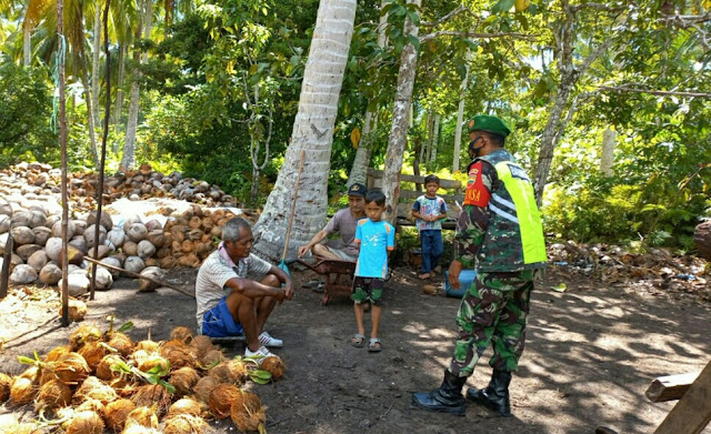 Babinsa David Alaslan Lakukan Komsos dengan Petani Kelapa