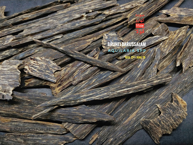 Cheap price of high grade wild harvested agarwood that suits for burn as incense.