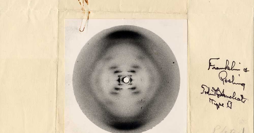 Enroque De Ciencia Rosalind Franklin La Fotograf a 51 enroque-de-ciencia-rosalind-franklin-la-fotograf-a-51