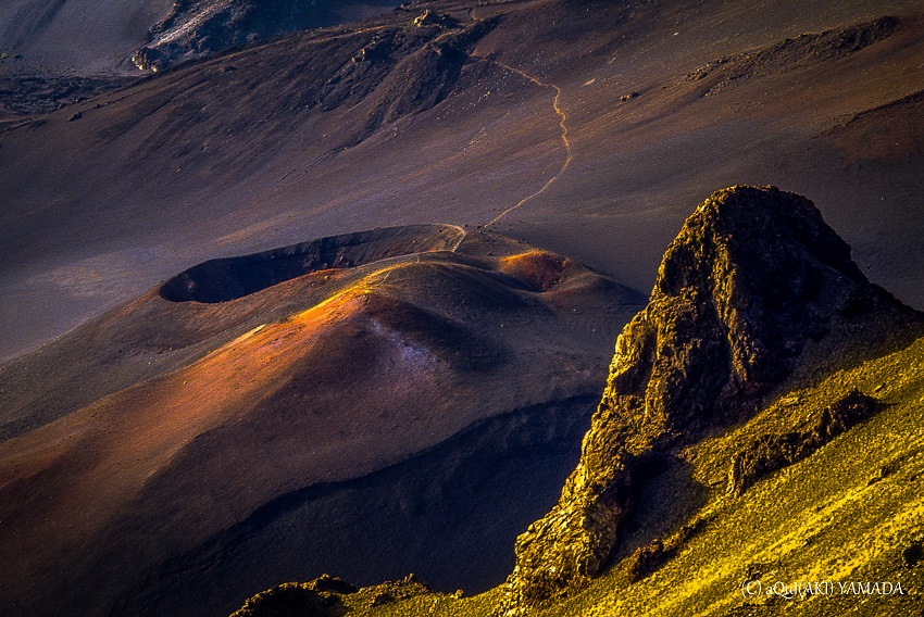 DESERT HAWAII Maui 0002
