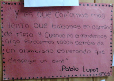 Frases del Profesor Pablo Luppi