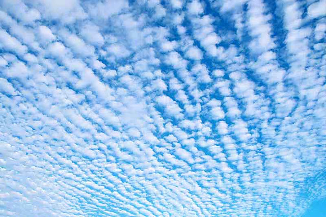 Altocumulus clouds