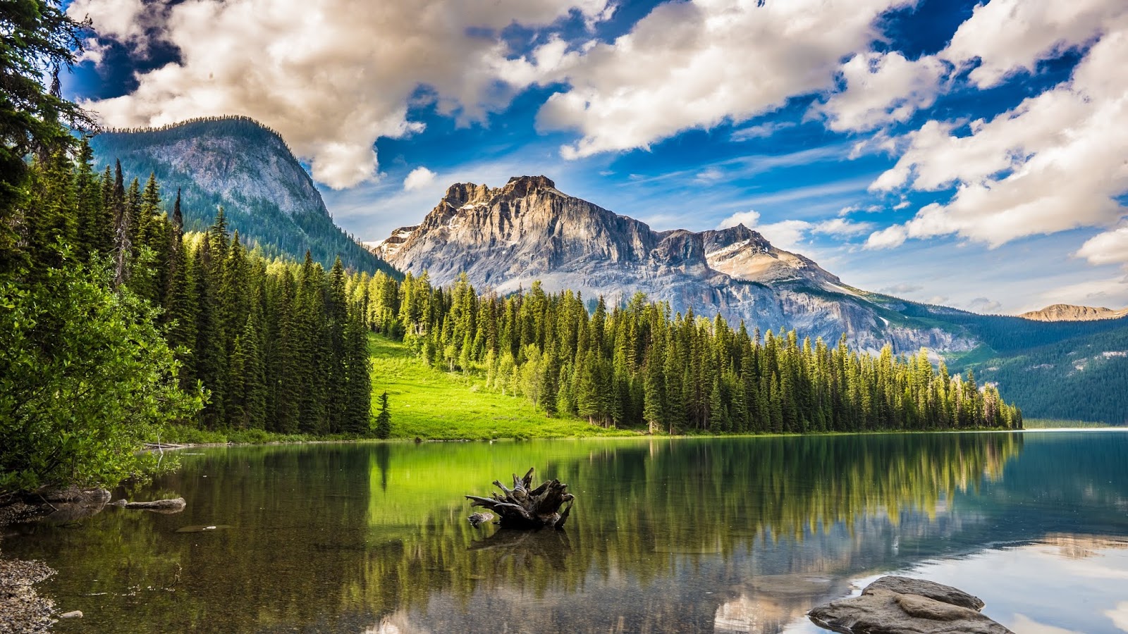 Linda Paisagem Da Natureza Para Plano De Fundo