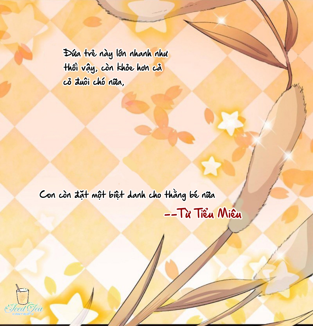 Đọc truyện Pheromone phi lý - Chapter 5