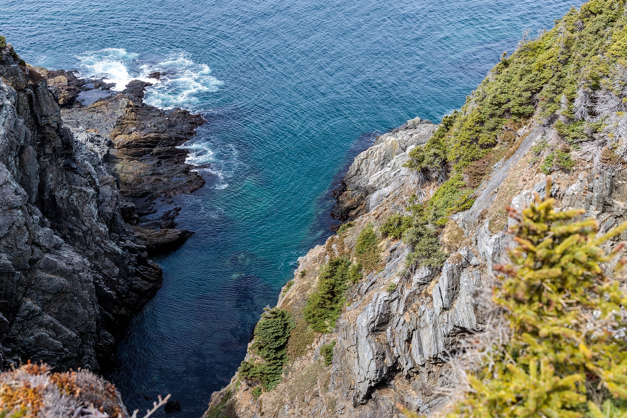 Bitstop Shoe Cove to Pouch Cove Hike