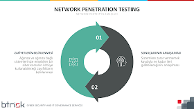 Network Pentestin Amaçları