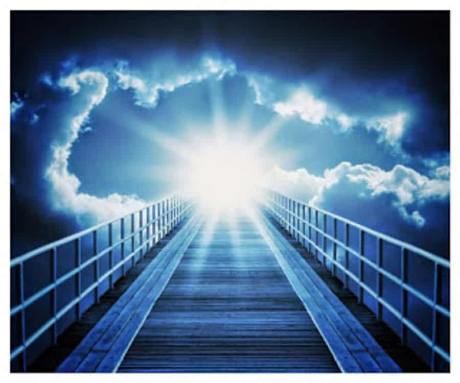 when dotty went to heaven alzheimer s reading room