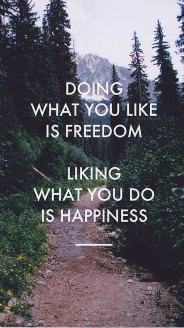 Doing what you like is freedom, liking what you do is happiness. #quote