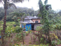 Small village settlement housing forest officials of the Bhagwan Mahavir wildlife sanctuary.