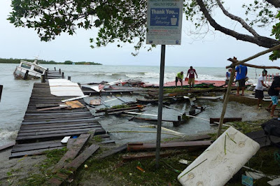 Remax Vip Belize: Many downed trees.