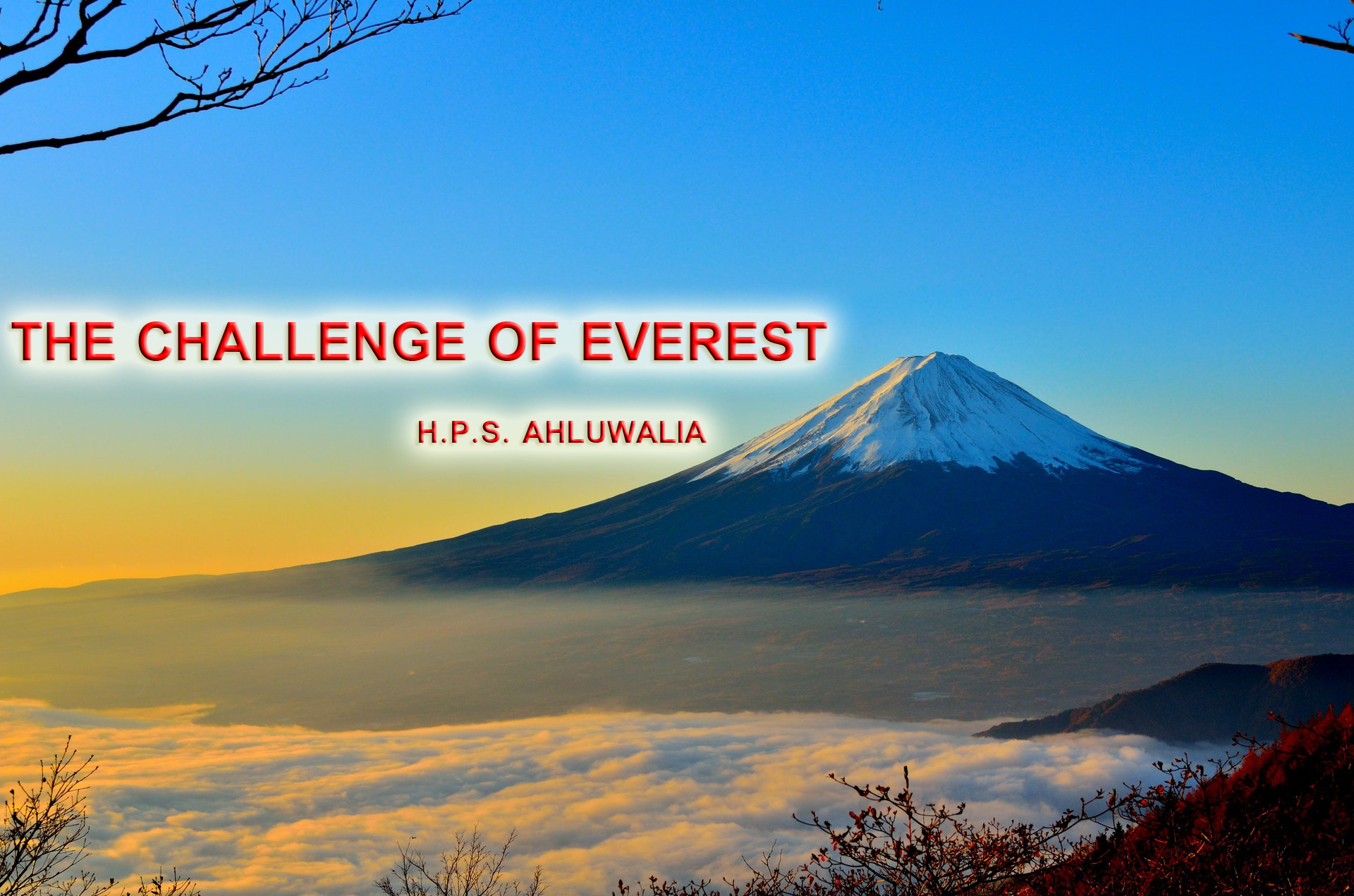 THE CHALLENGE OF EVEREST H.P.S. AHLUWALIA BASIC ENGLISH NOTES