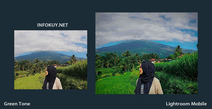 Rumus Lightroom Green Tone, Fresh Banget ! Infokuy Rumus Lightroom Green Tone, Fresh Banget ! Infokuy