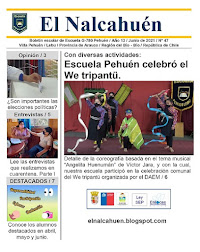 El Nalcahuén IMPRESO N° 47 (Junio de 2021)