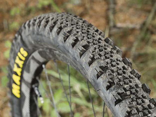 maxxis minion ss