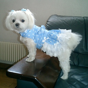 She is
                        Georgeous