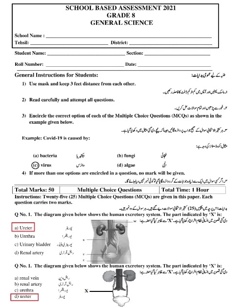 Answers Grade 8 Science assessment School-Based 2021 | 8th class