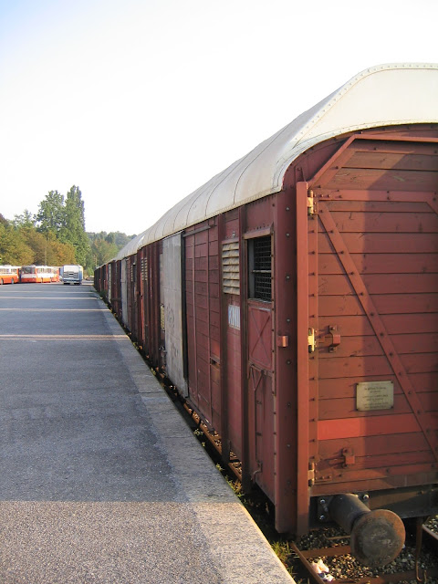 Wagon CFF a toit surélevé pour le transport des éléphants