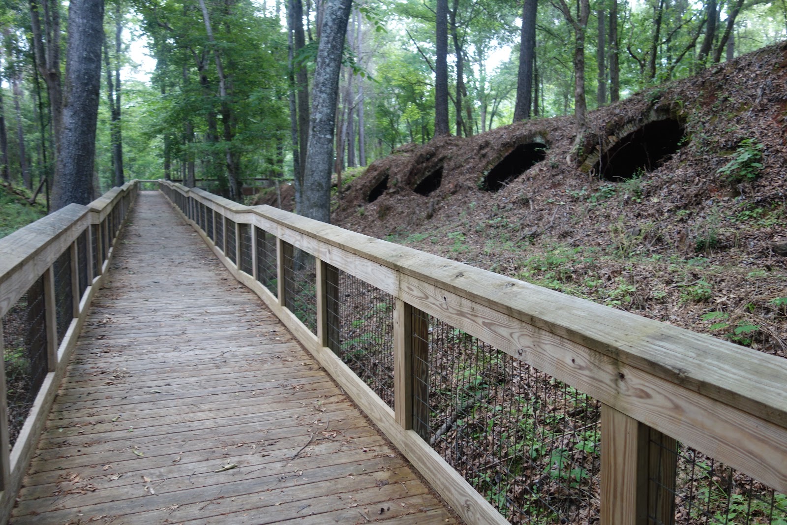 Susan's Coke Ovens West Blocton Park
