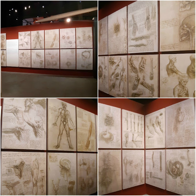"Leonardo da Vinci - 500 anos de um gênio" no novo MIS Experience em São Paulo